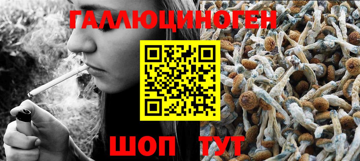 Сафоново  Псилоцибиновые грибы прущие грибы  Вход с VPN 